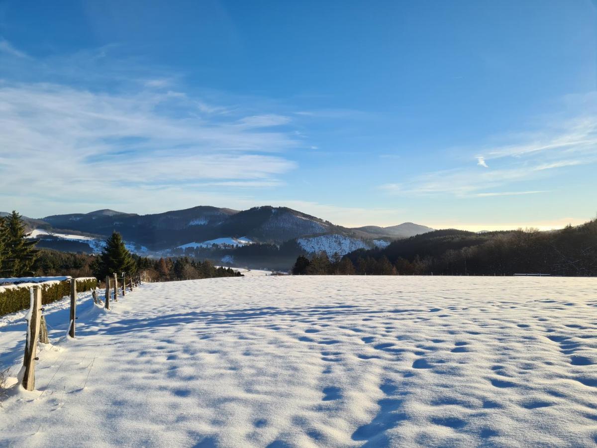 Ferienwohnung Auszeit Winterberg Zentrum Bagian luar foto